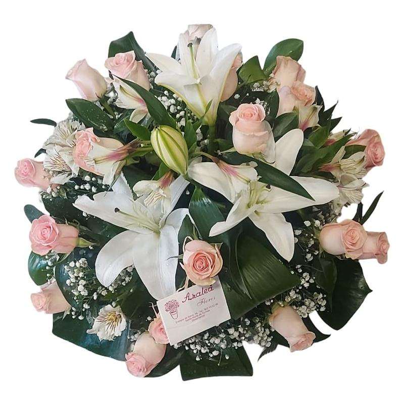 comprar flores Salamanca Azalea Flores