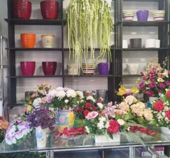 azalea-flores-salamanca-floristeria